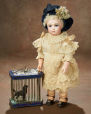 The Face in The Cameo, An Antique Doll Auction