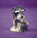 Shy Schnauzer Trinket Box