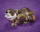 Curious Raccoon Trinket Box