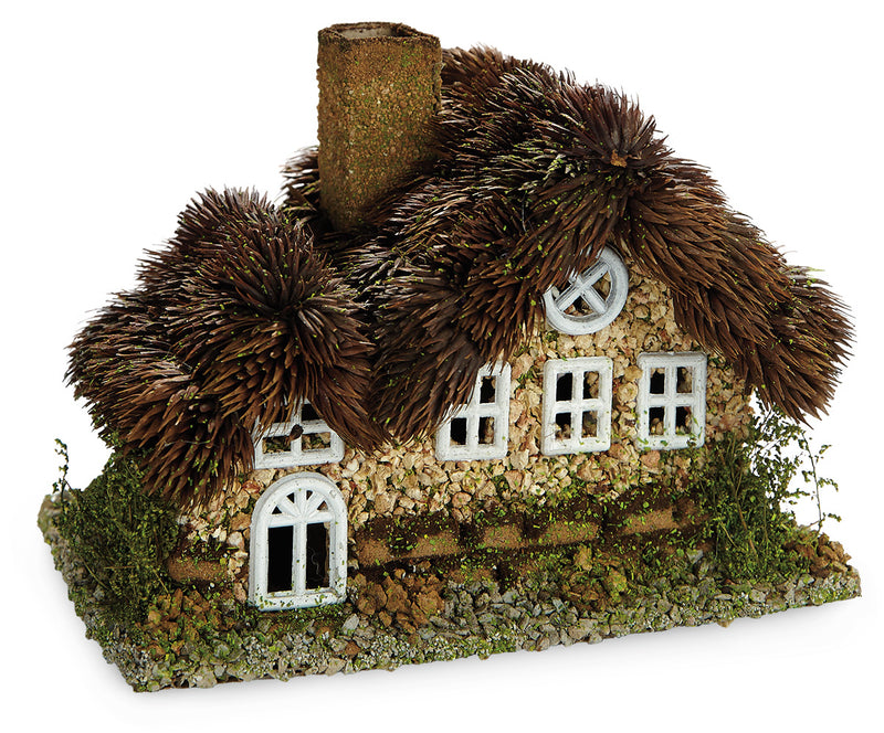Thatch Roof House