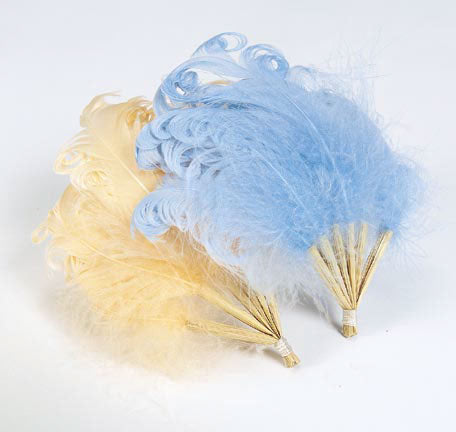 Feather Fan in Blue