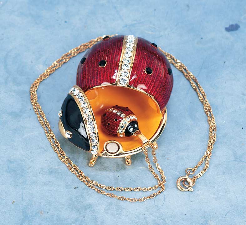 Ladybug Trinket Box with Necklace