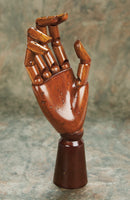 The Hand Of An Artist