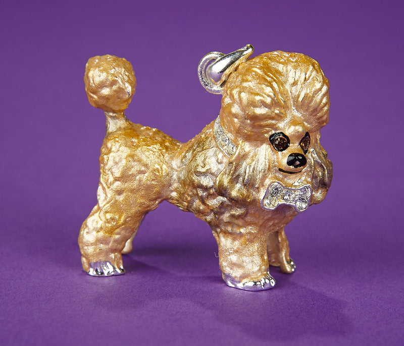 Toy Poodle and Bone Brooch
