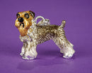 Mini-Schnauzer and Bone Brooch