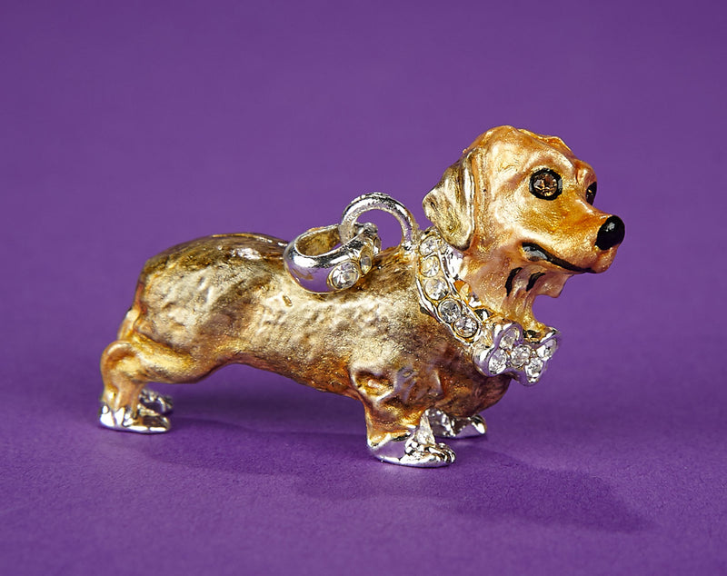 Mini-Dachshund and Bone Brooch