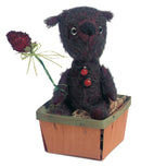 Raspberry Bear By Cindy Mcguire