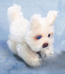 Gigi With Blue Collar By Susan Mckay