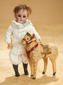 Dreams, The Sandy Kralovetz Doll Collection