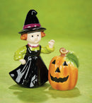 Pumpkin & Witch Salt & Pepper Shakers