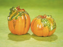 Pumpkin Salt and Pepper Shakers