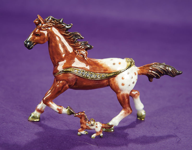 Appaloosa Horse Trinket Box and Necklace