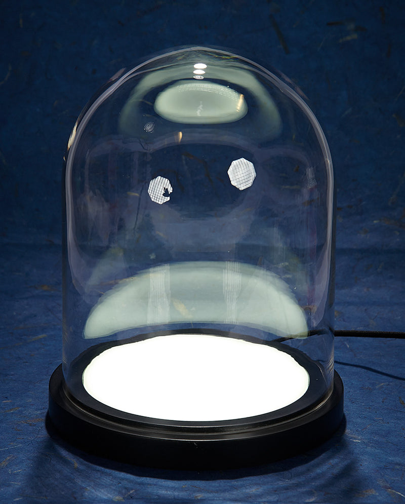 Bell Jar with Lighted Base