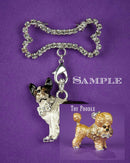 Toy Poodle and Bone Brooch