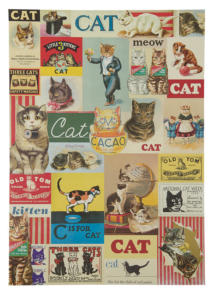 Cats and Dogs Wrap Paper/Poster