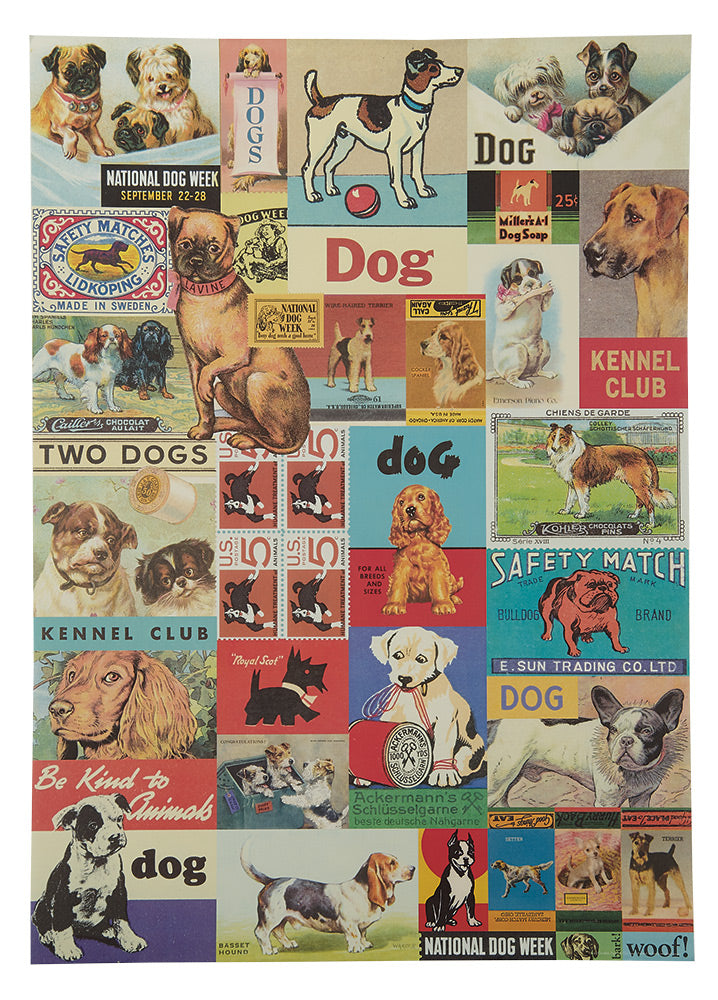 Cats and Dogs Wrap Paper/Poster